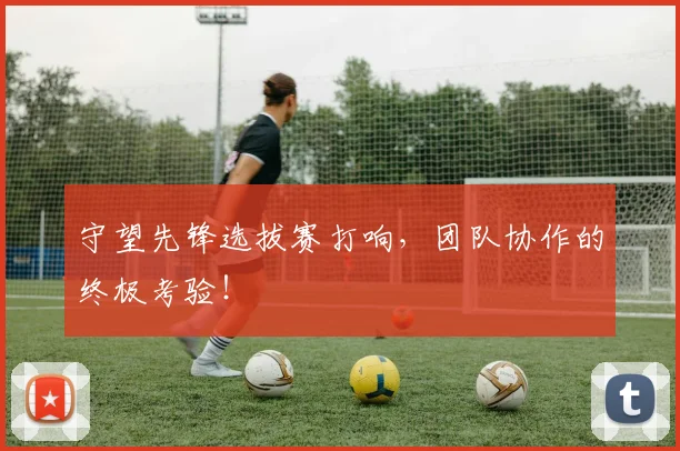 守望先锋选拔赛打响，团队协作的终极考验！